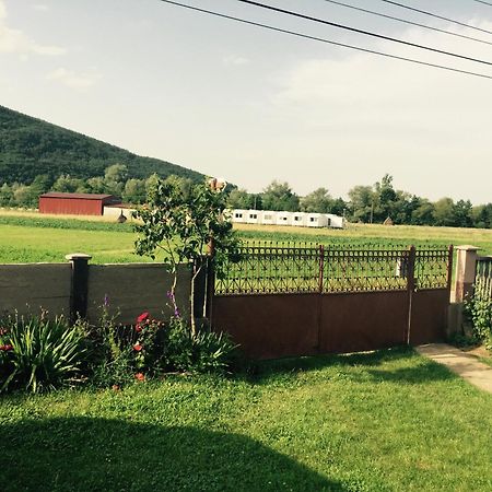 Pensiunea Tarina Suncuius Dış mekan fotoğraf
