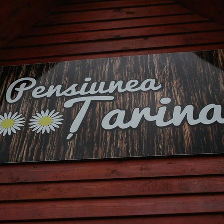 Pensiunea Tarina Suncuius Dış mekan fotoğraf