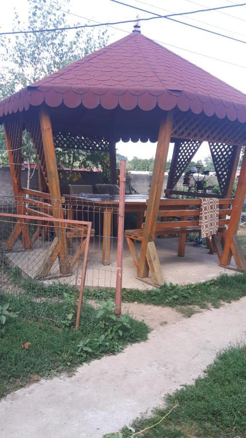 Pensiunea Tarina Suncuius Dış mekan fotoğraf
