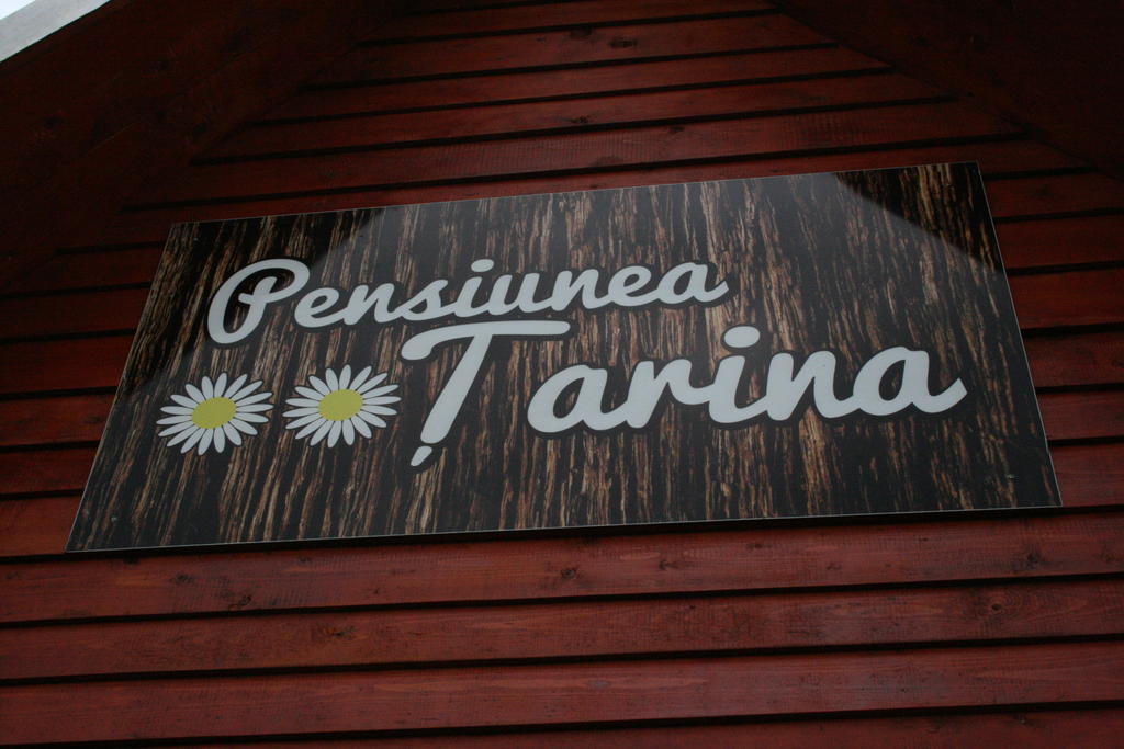 Pensiunea Tarina Suncuius Dış mekan fotoğraf
