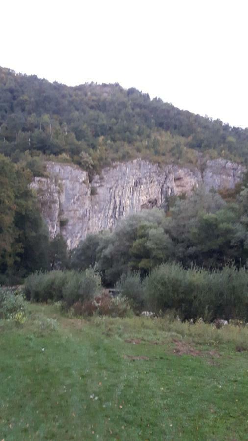 Pensiunea Tarina Suncuius Dış mekan fotoğraf